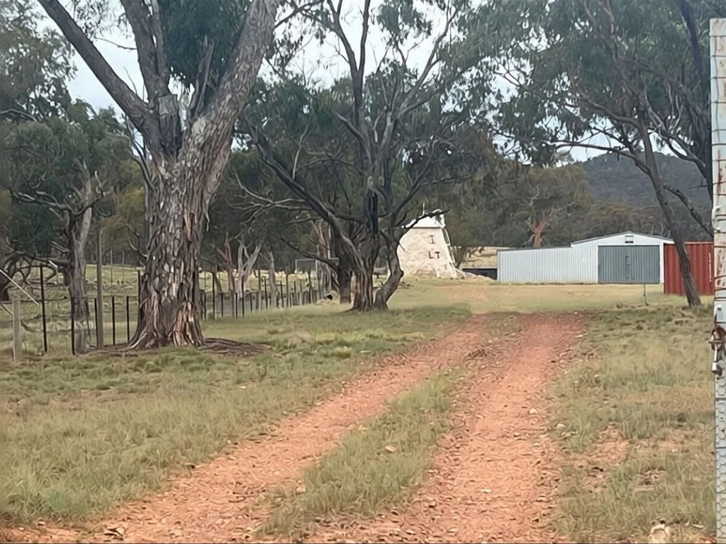 Additional image 10 of Lot 110 Rothlyn Road, Chakola NSW 2630