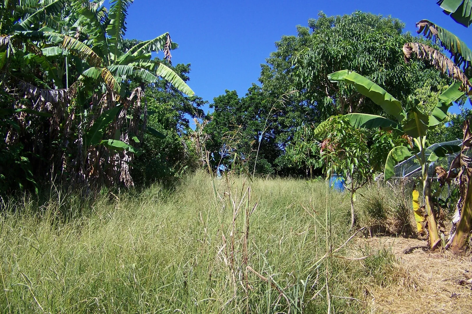 Additional image 7 of 29 Pine Avenue, Lamb Island QLD 4184