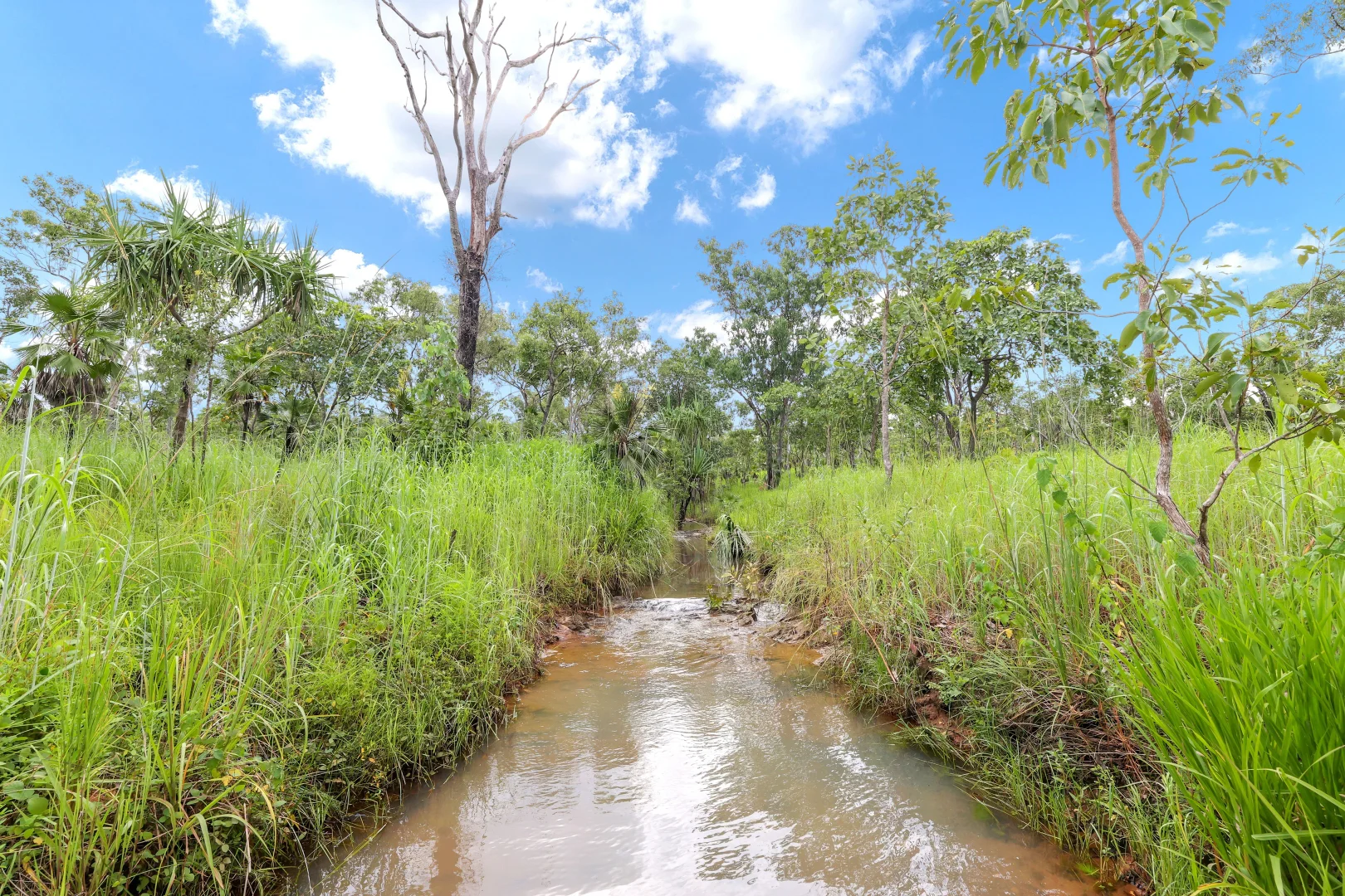 Additional image 17 of 350 Daly River Road, Robin Falls NT 0822