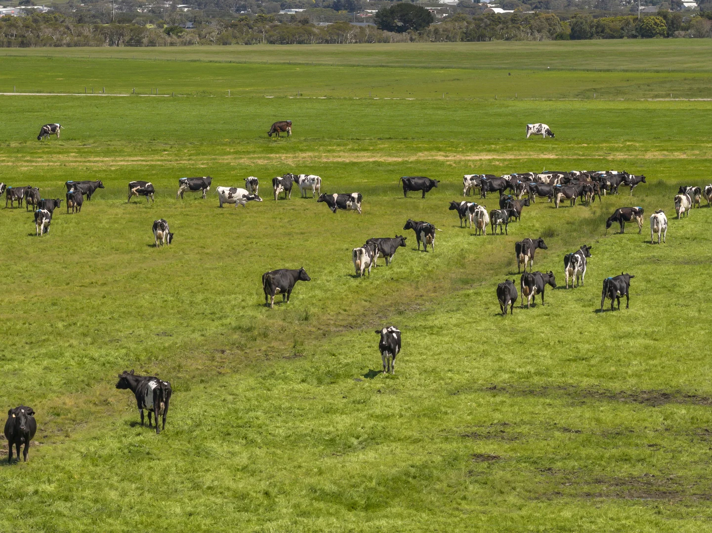 Additional image 10 of 125 Kirrak Road, Wonthaggi VIC 3995