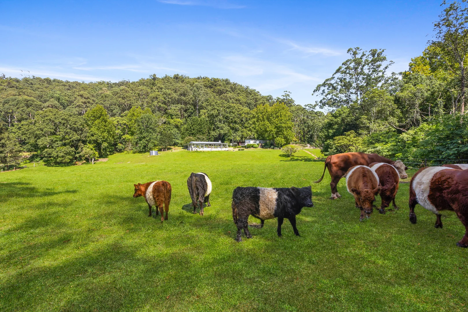 Additional image 29 of 665 Brush Creek Road, Cedar Brush Creek NSW 2259