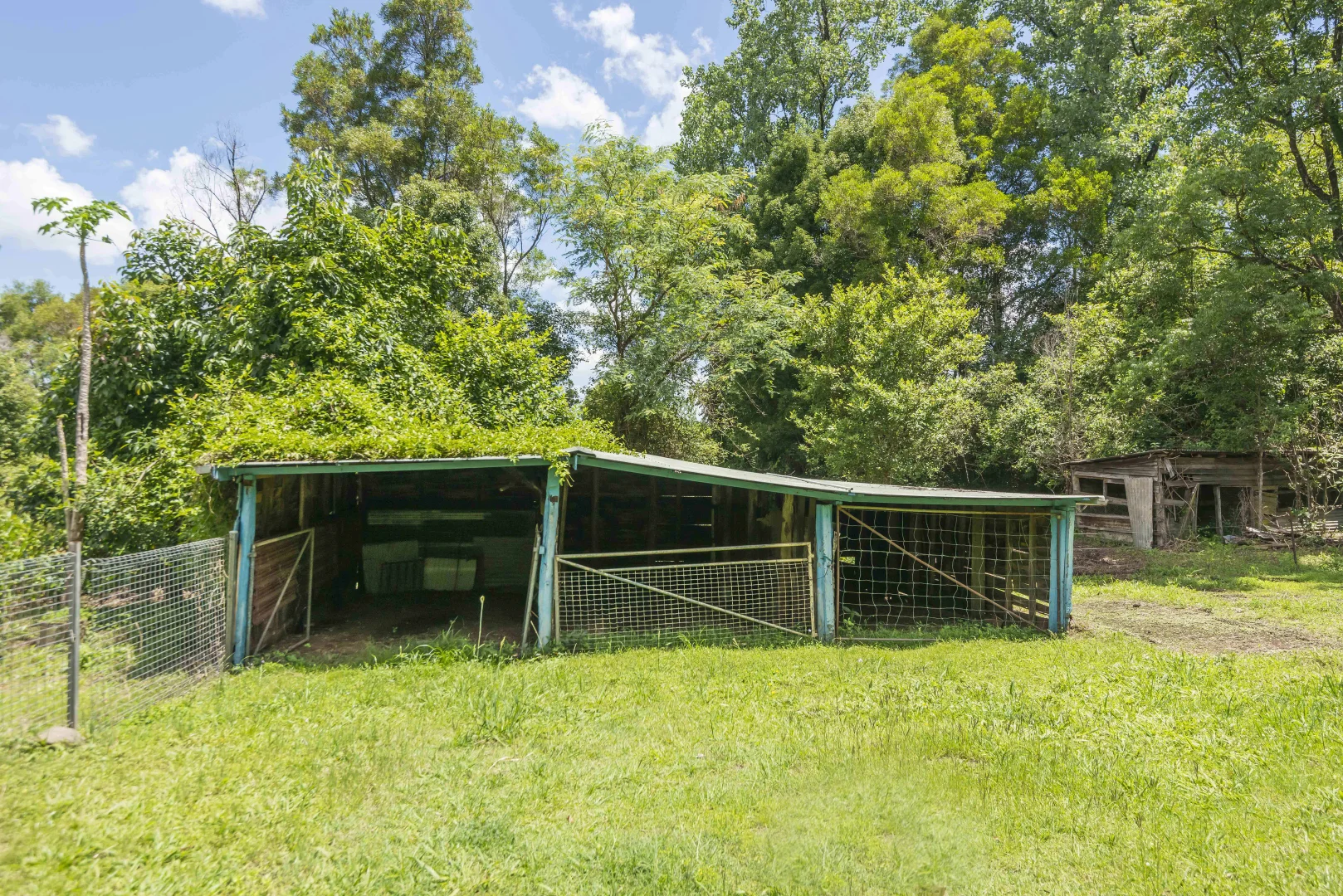 Additional image 7 of 353 Gungas Road, Nimbin NSW 2480