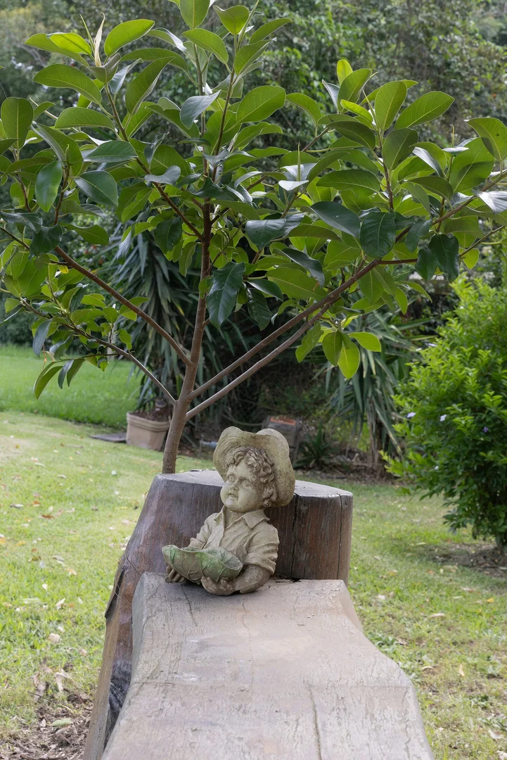 Additional image 26 of 31 East Combined Street, Wingham NSW 2429