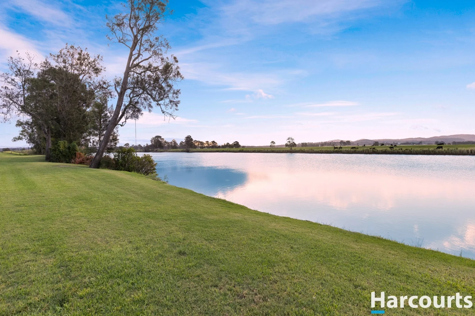 Additional image 9 of 923 Newline Road, Eagleton NSW 2324