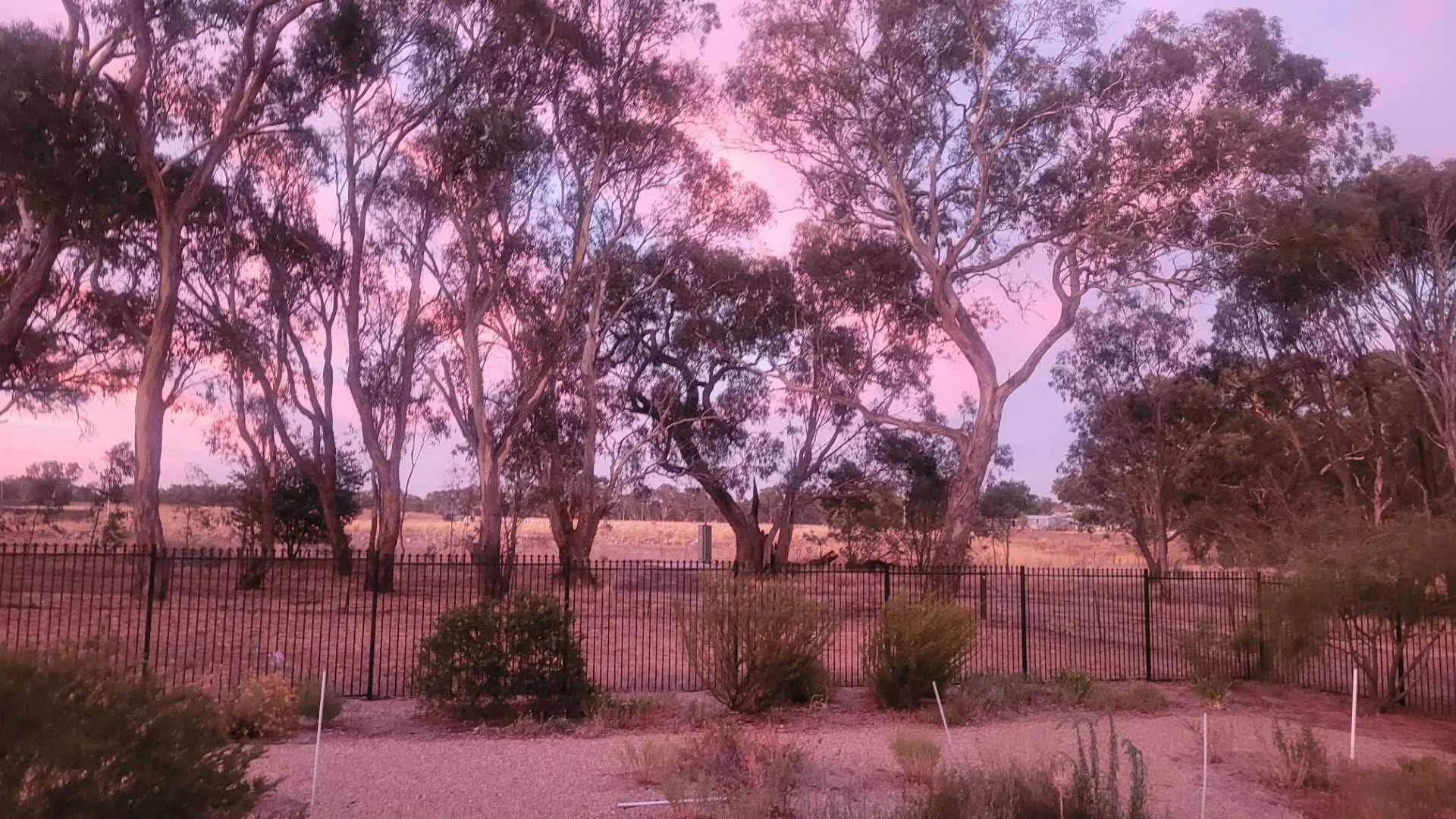 Additional image 15 of 43 Harold Conkey Ave, Cootamundra NSW 2590