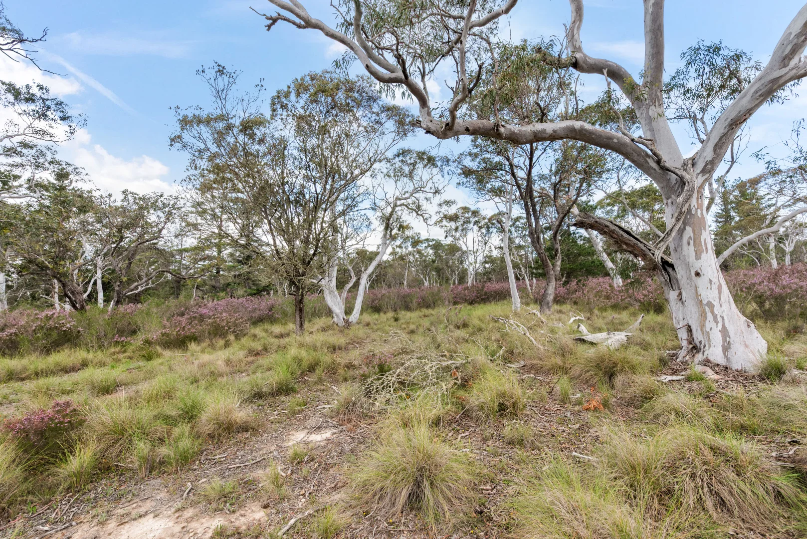 Additional image 26 of 86 Gilberts Lane, Braidwood NSW 2622