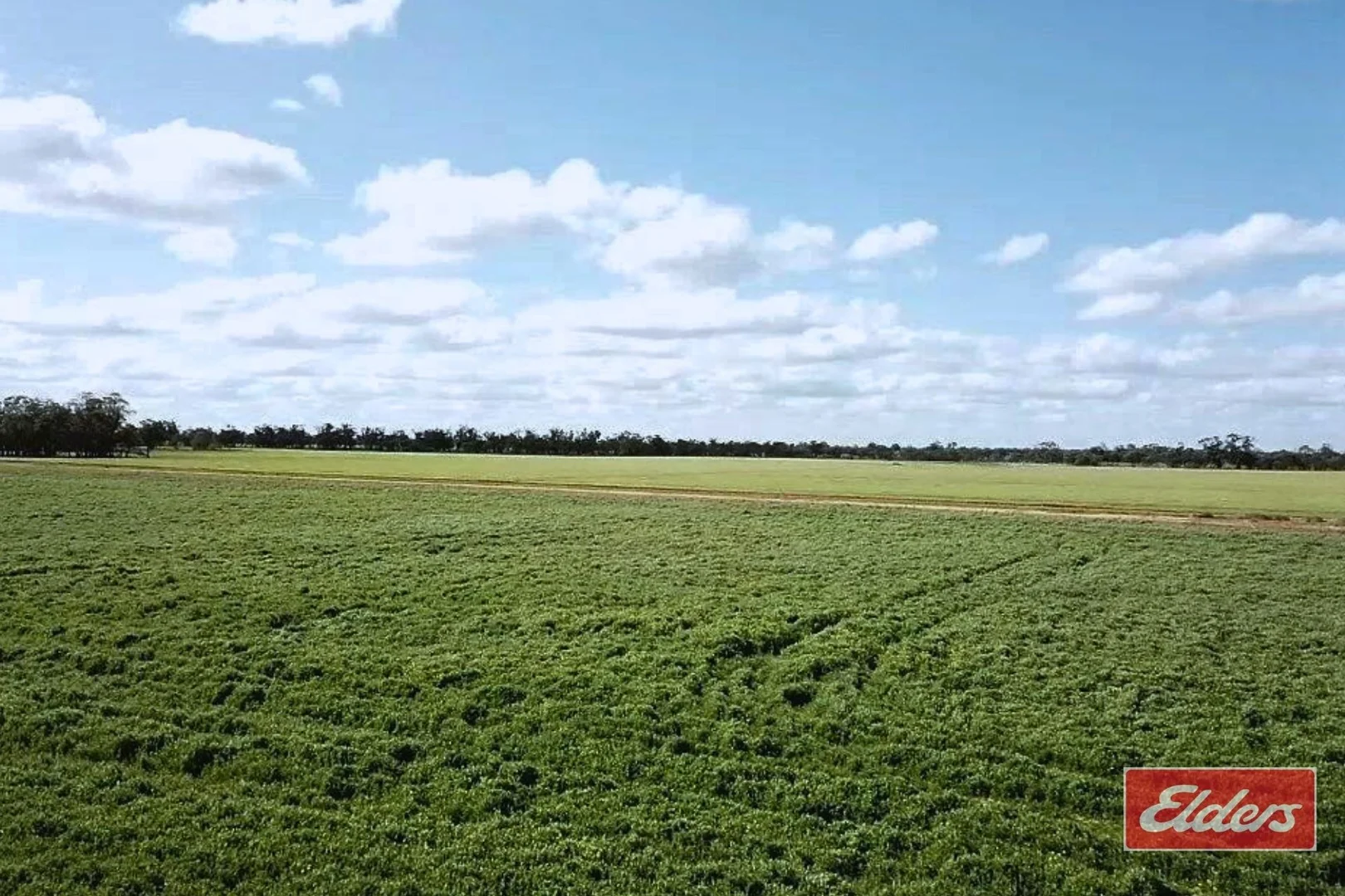 Additional image 11 of Perricoota, Bunnaloo NSW 2731