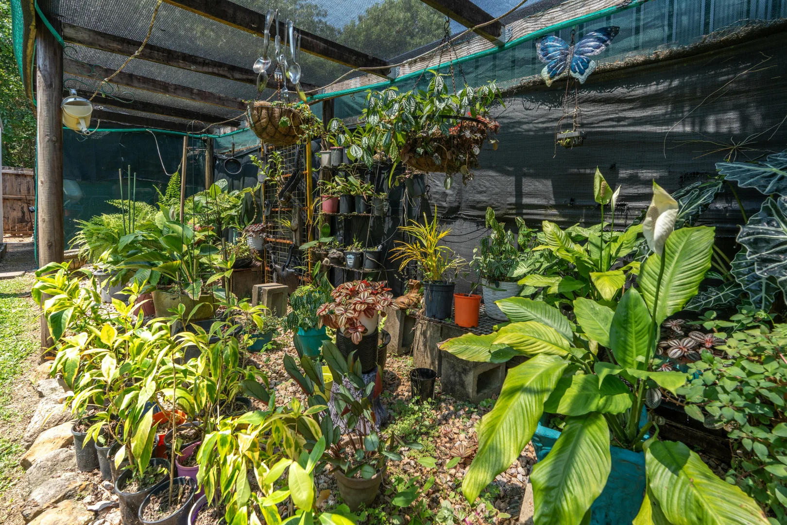 Additional image 41 of 14 Pacific View Drive, Wongaling Beach QLD 4852