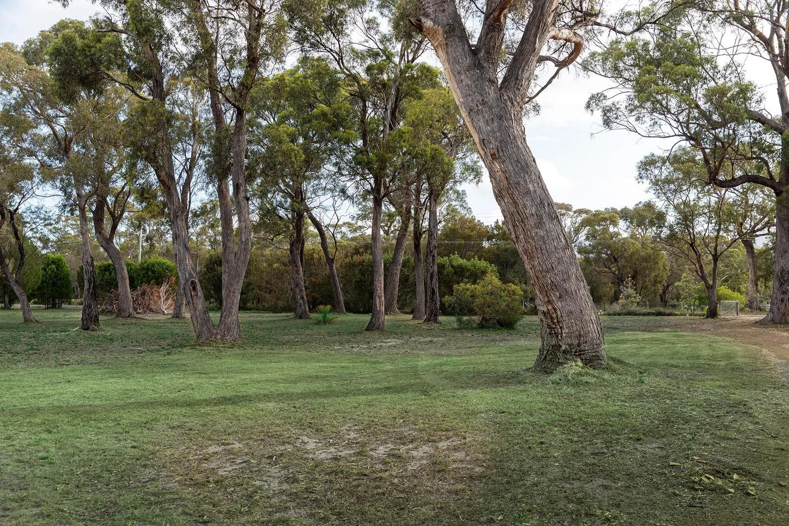 Additional image 19 of 15 Manning Drive, Orford TAS 7190