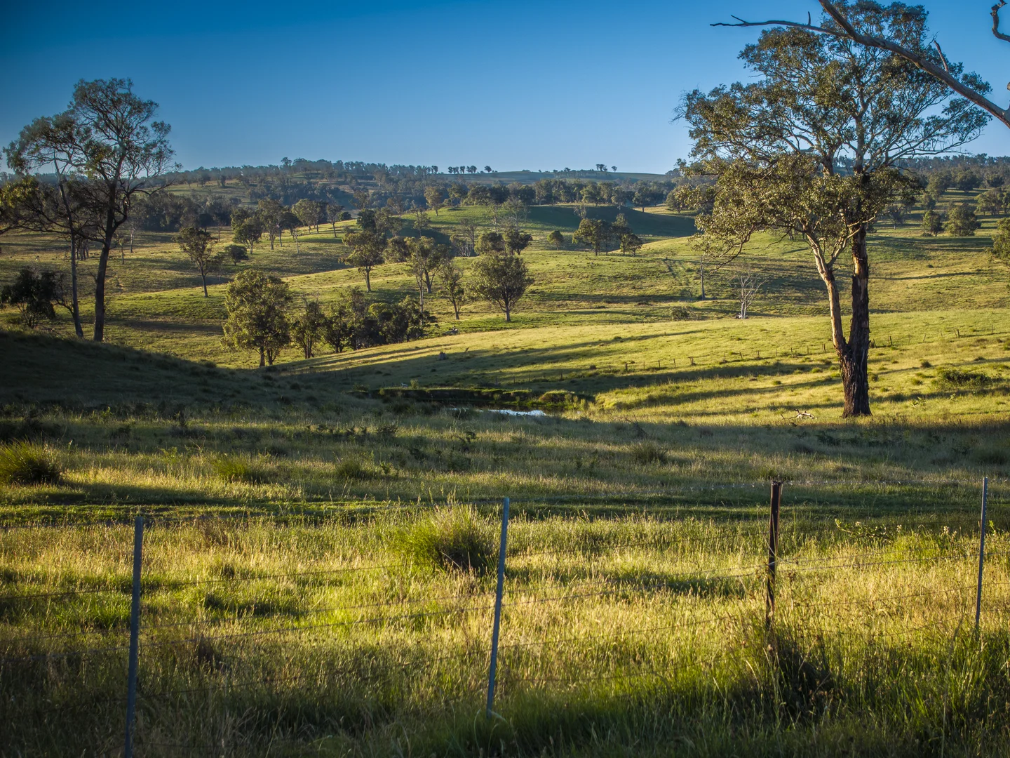 Additional image 27 of 338 Fishington Road, Wongwibinda NSW 2350