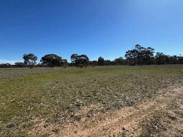 Additional image 19 of 4CA Calder Highway, Wedderburn VIC 3518