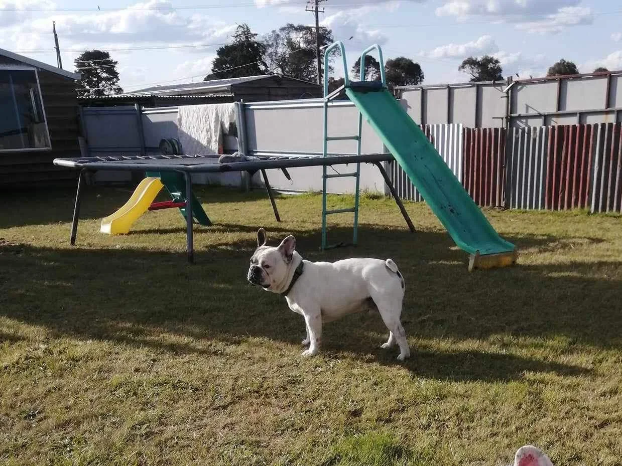 Additional image 7 of 9 Short Street, Deepwater NSW 2371