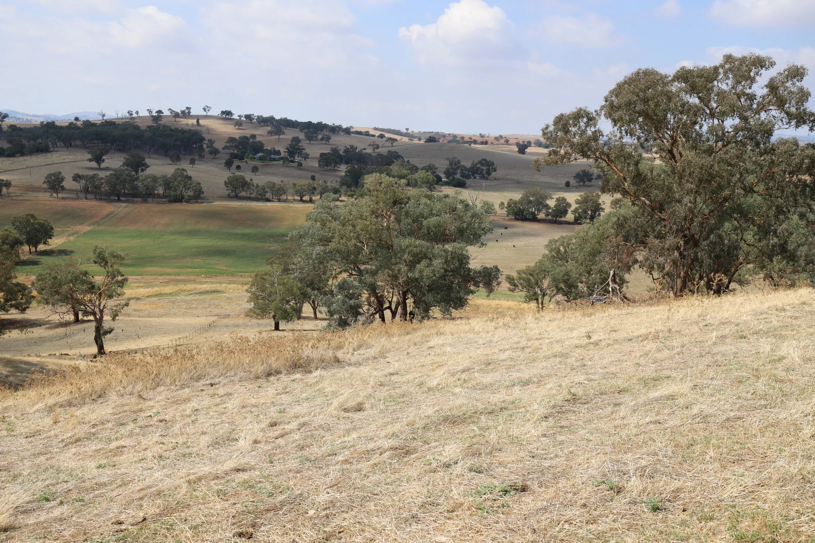 Additional image 3 of Lot 101, 102 &/105 Turners Lane, Cootamundra NSW 2590