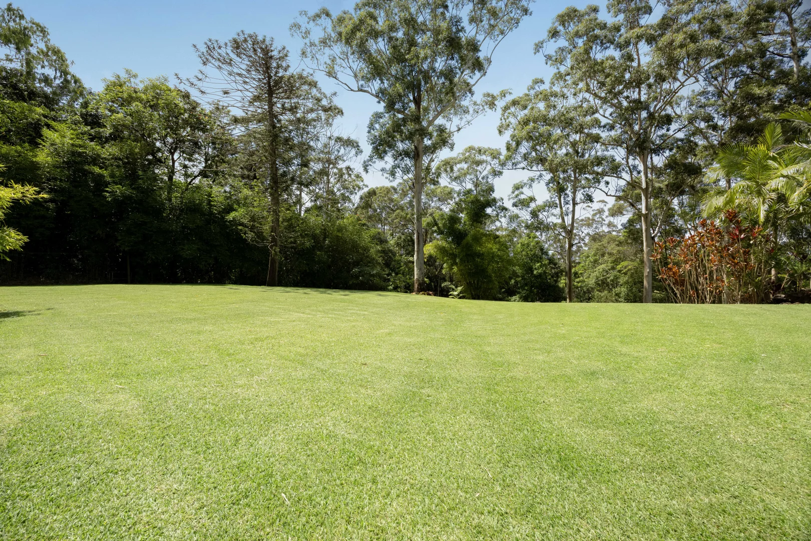 Additional image 12 of 73 William Street, Buderim QLD 4556