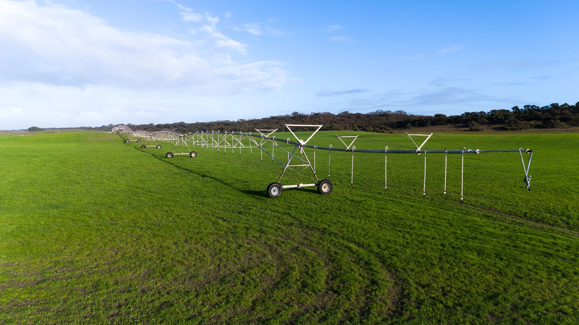 Additional image 12 of 394 Coombe Road, Tintinara SA 5266