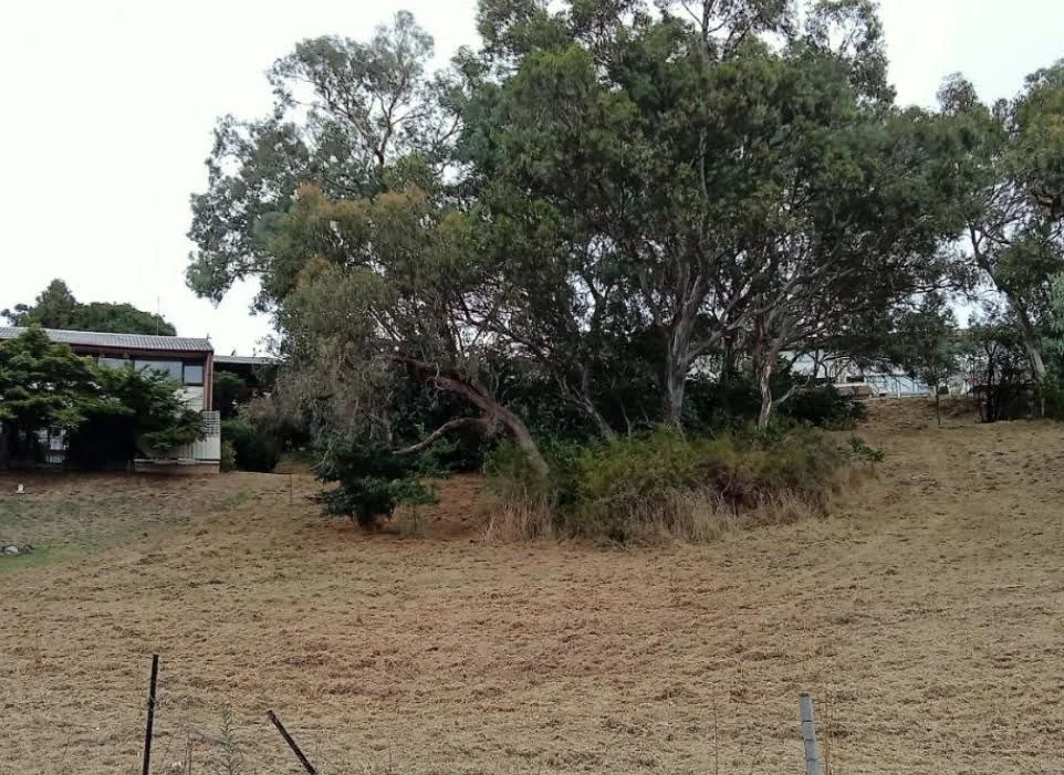 Additional image 2 of Lot 53/13 MIDDLEMISS PLACE, Windradyne NSW 2795