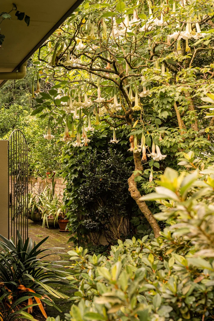 Additional image 38 of 38 Summer Road, Faulconbridge NSW 2776