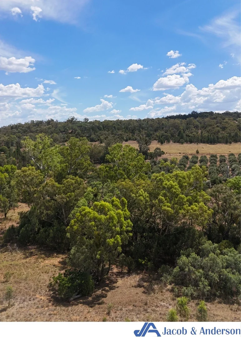Additional image 21 of 169 Doubleday Road, Gunnedah NSW 2380
