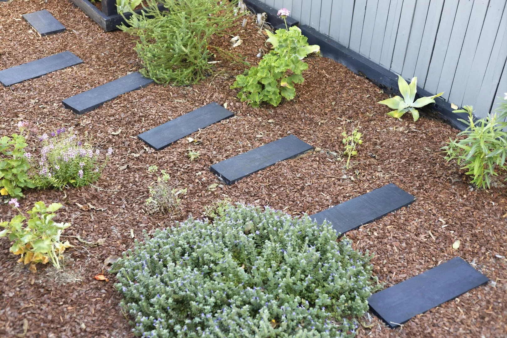 Additional image 35 of 29A Maundrell Terrace, Chermside West QLD 4032