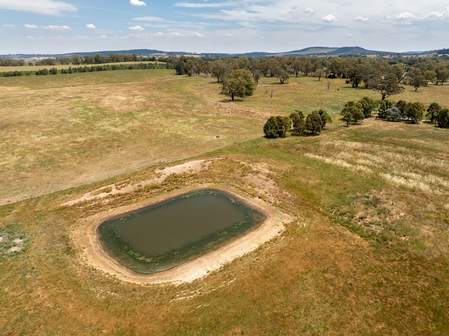 Additional image 23 of 56 Orchard Road, Springside NSW 2800