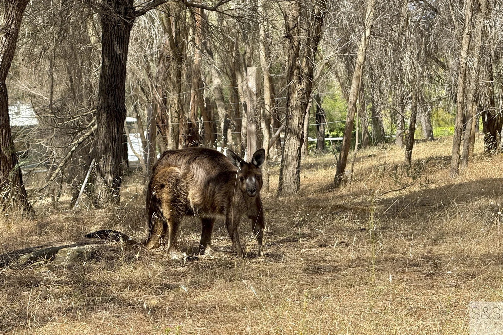 Additional image 16 of 52 Wright Road, Penneshaw SA 5222
