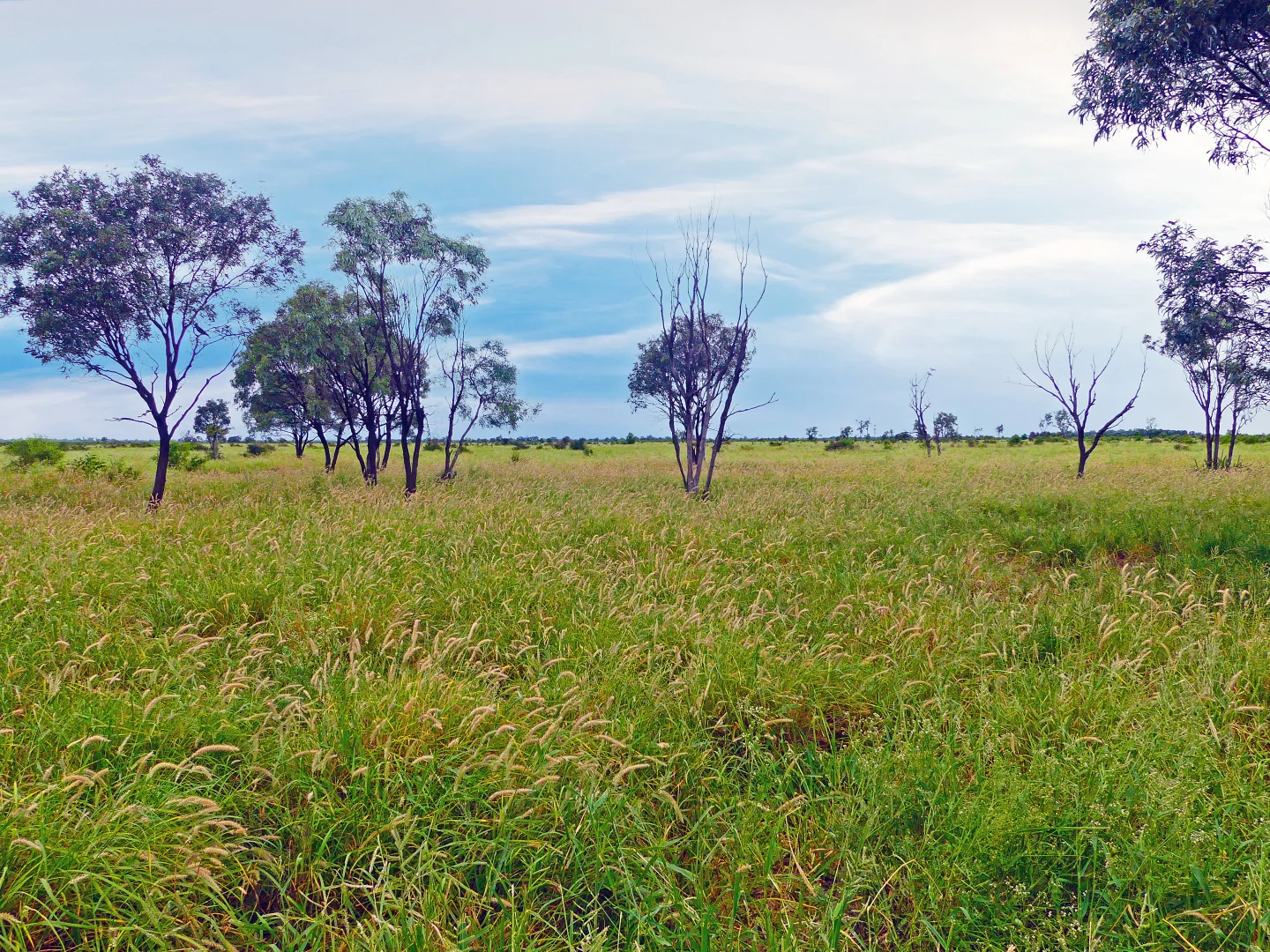 Additional image 22 of "Wavering Downs" 1467 Pasha Rd, Pasha QLD 4721