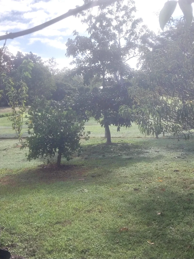 Additional image 24 of 25 English Street, Gin Gin QLD 4671