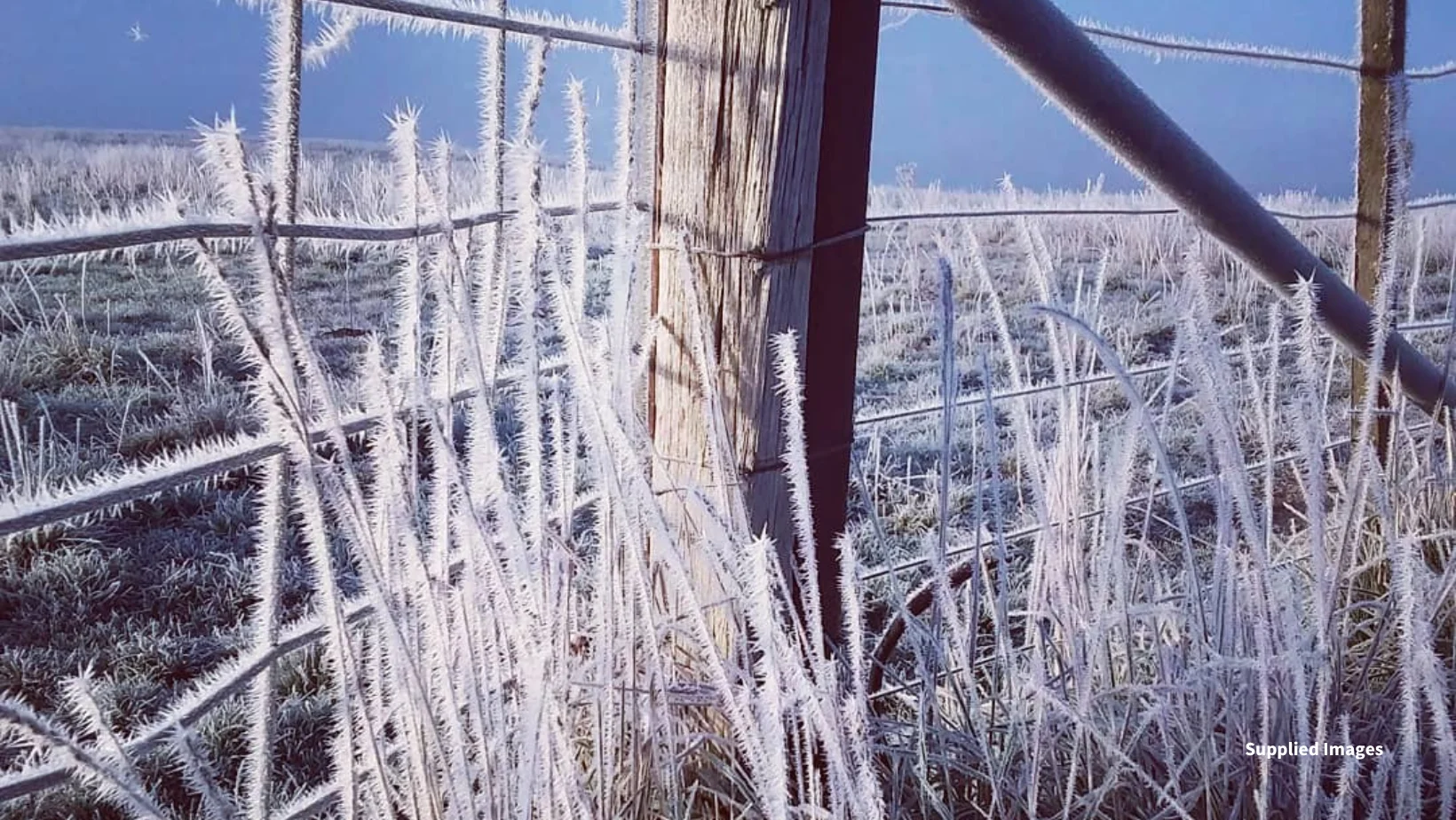 Additional image 55 of 15 Lee Street, Rossarden TAS 7213