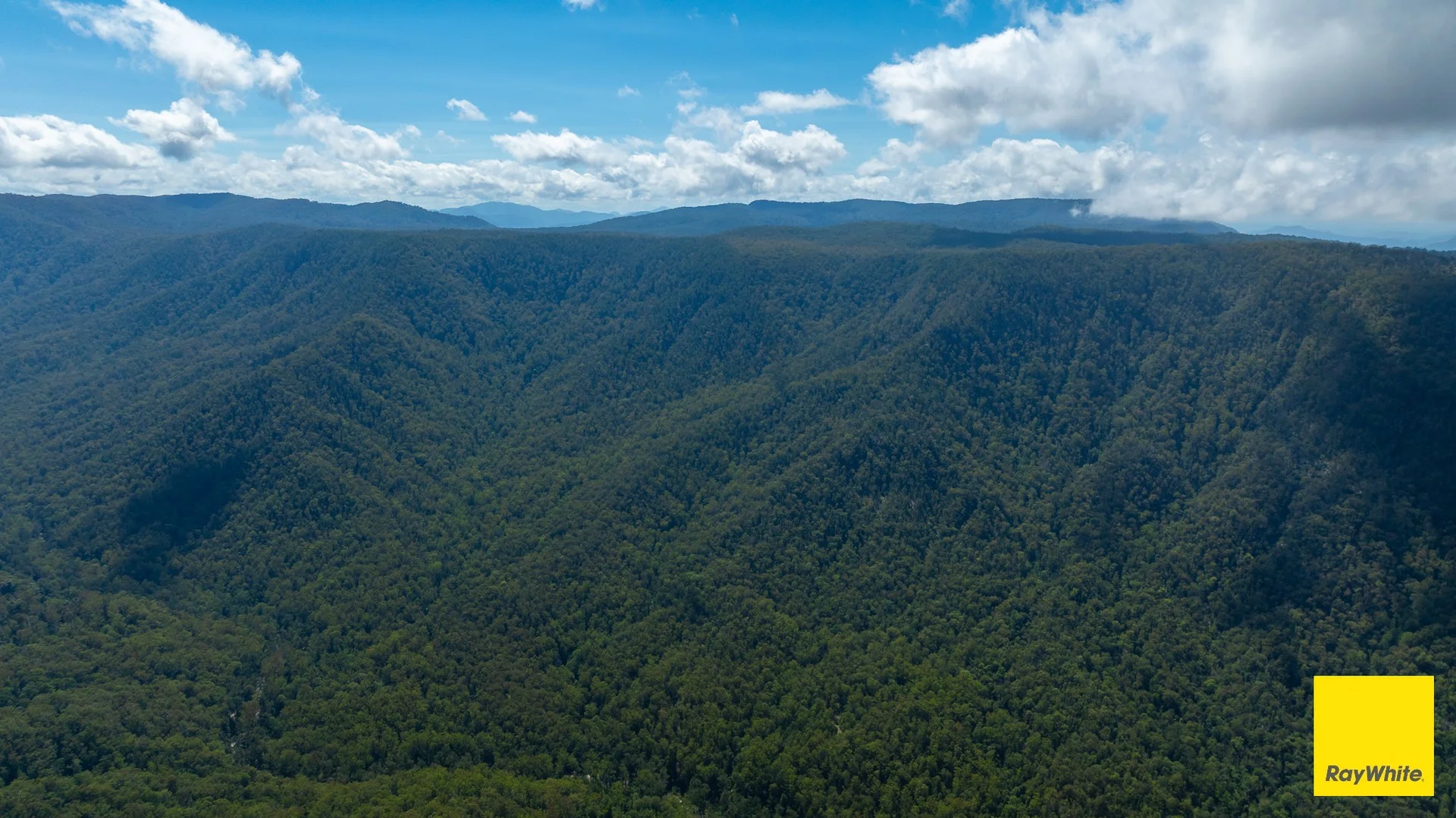 Lower Creek NSW 2440