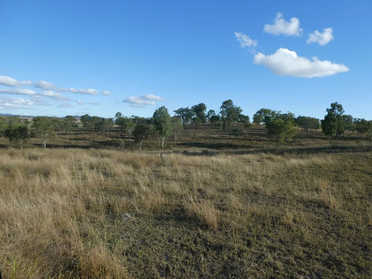 Additional image 25 of Lot 24 Gayndah Mount Perry Road, Mount Steadman QLD 4625