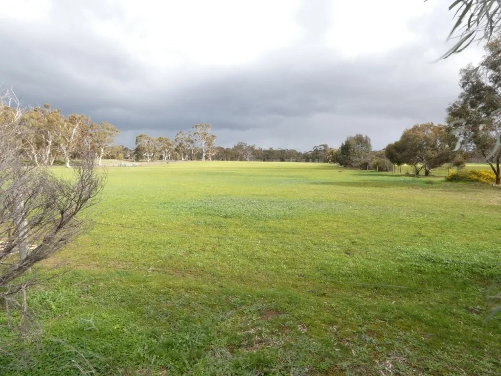 Additional image 19 of Patterson Rd, Dimboola VIC 3414