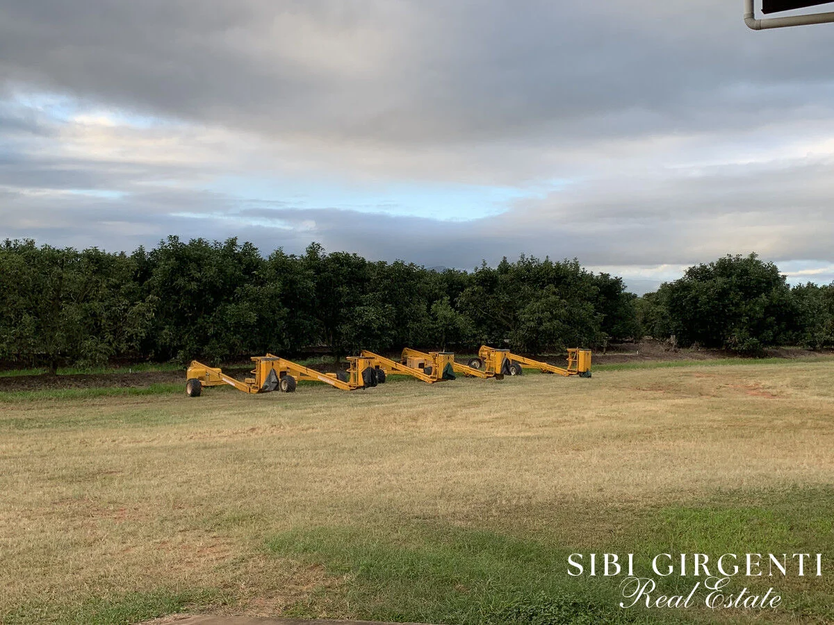 Additional image 3 of 1611 Mareeba-Dimbulah, Arriga QLD 4880