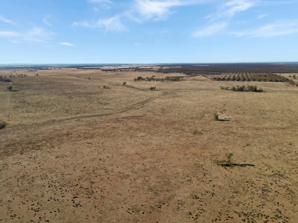 Additional image 17 of 603 Charcoal Tank Road, West Wyalong NSW 2671
