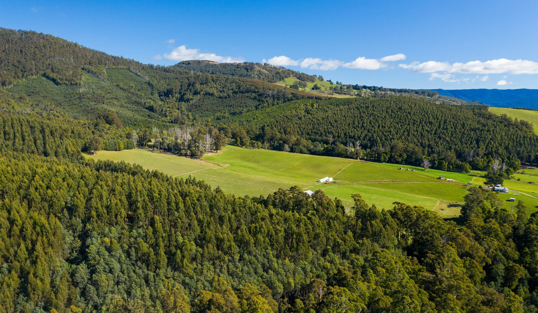 Additional image 23 of Alberton TAS 7263