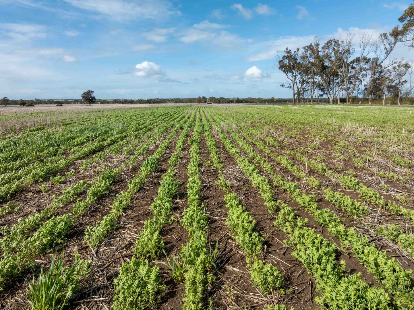 Additional image 5 of Jung VIC 3401