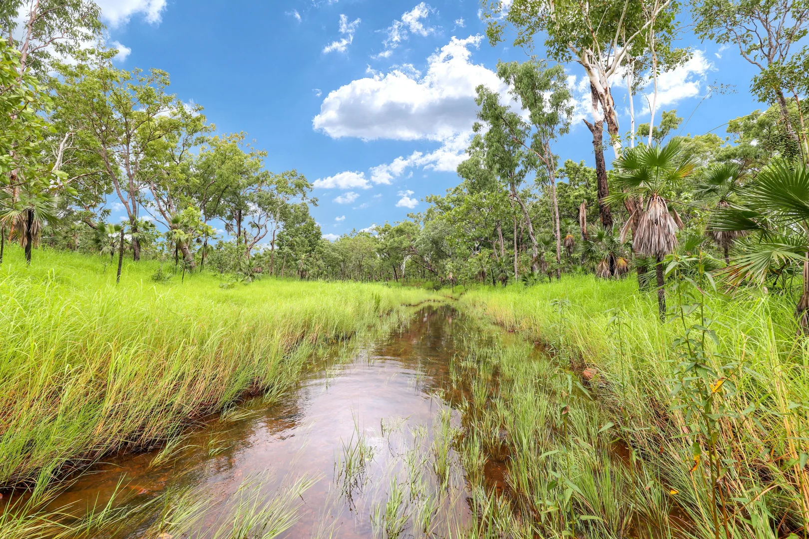 Additional image 14 of 350 Daly River Road, Robin Falls NT 0822