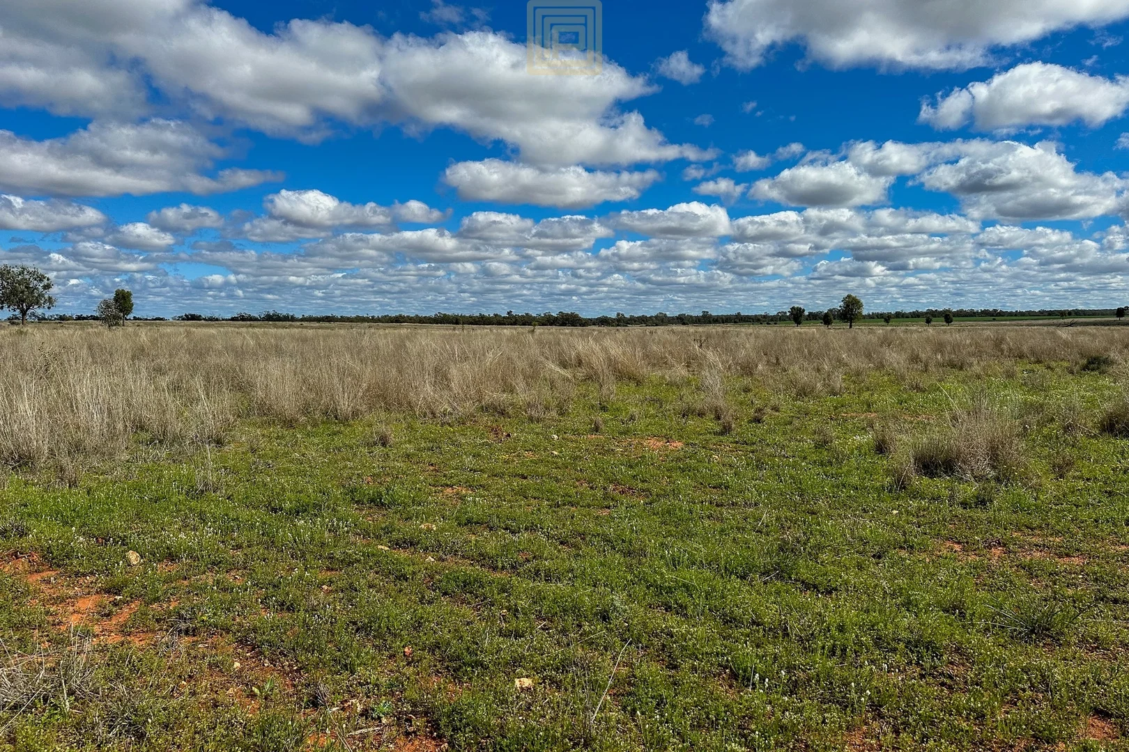 Additional image 25 of KOOREGAH STATION Yarrandale Road, Hermidale NSW 2831