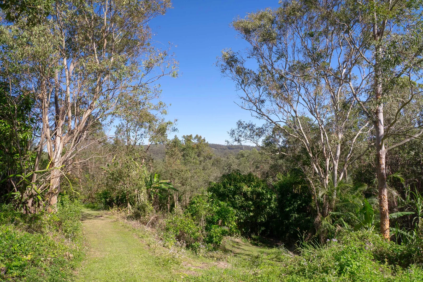Additional image 7 of 15B Blue Hills Drive, Bunya QLD 4055