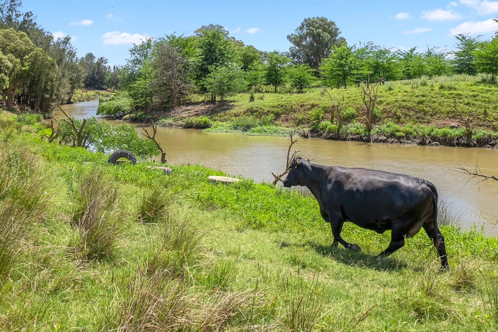Additional image 20 of 9 Avon Place, Windsor Downs NSW 2756