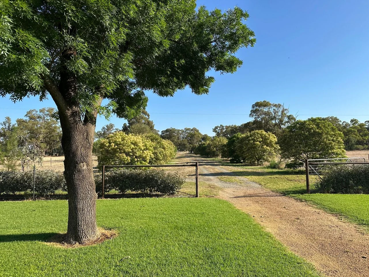 Additional image 31 of 349 Warregal Road, Parkes NSW 2870