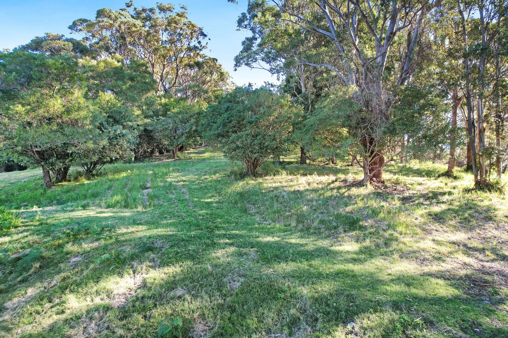 Additional image 5 of 41a Mungurra Hill Road, Cordeaux Heights NSW 2526