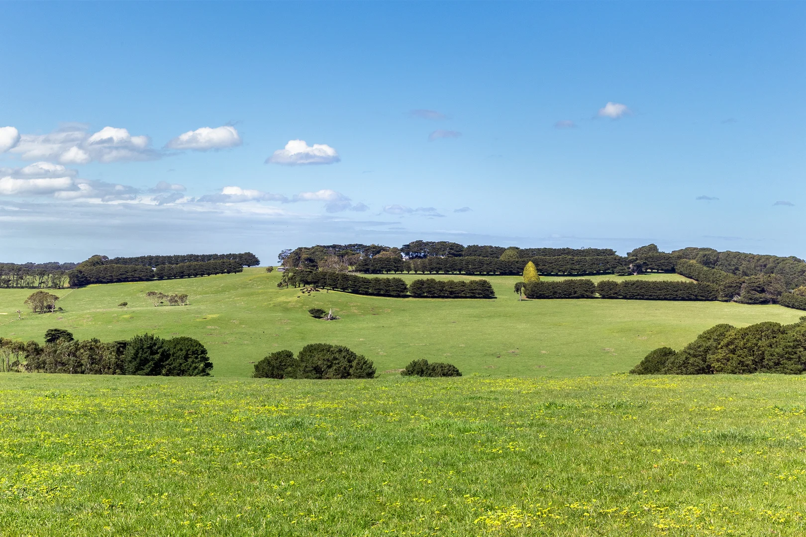 Additional image 8 of 1597 Boneo Road, Flinders VIC 3929