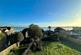 Additional image 5 of Towers Garden, Langstone, Havant, Hampshire, PO9