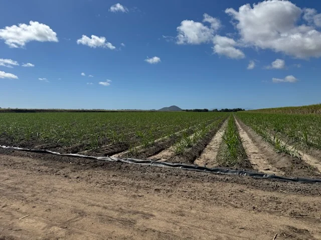 Additional image 9 of 218 Oats Road, Fredericksfield QLD 4806