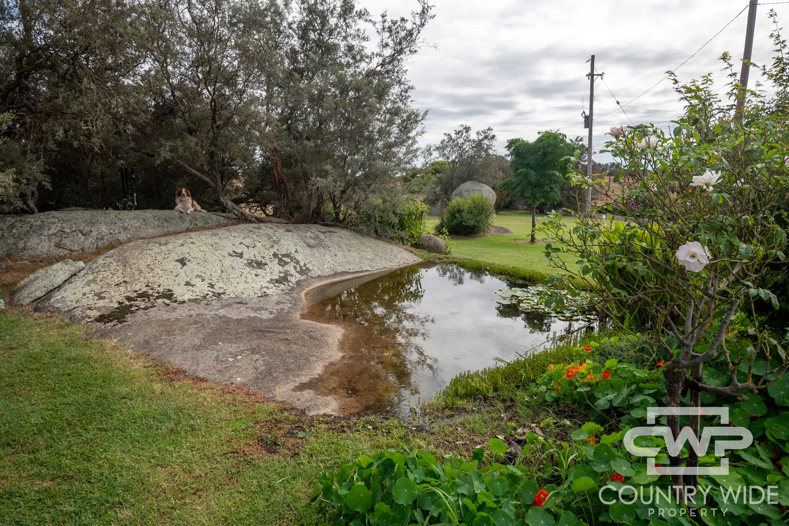 Additional image 14 of 172 Hazelwood Road, Stonehenge NSW 2370