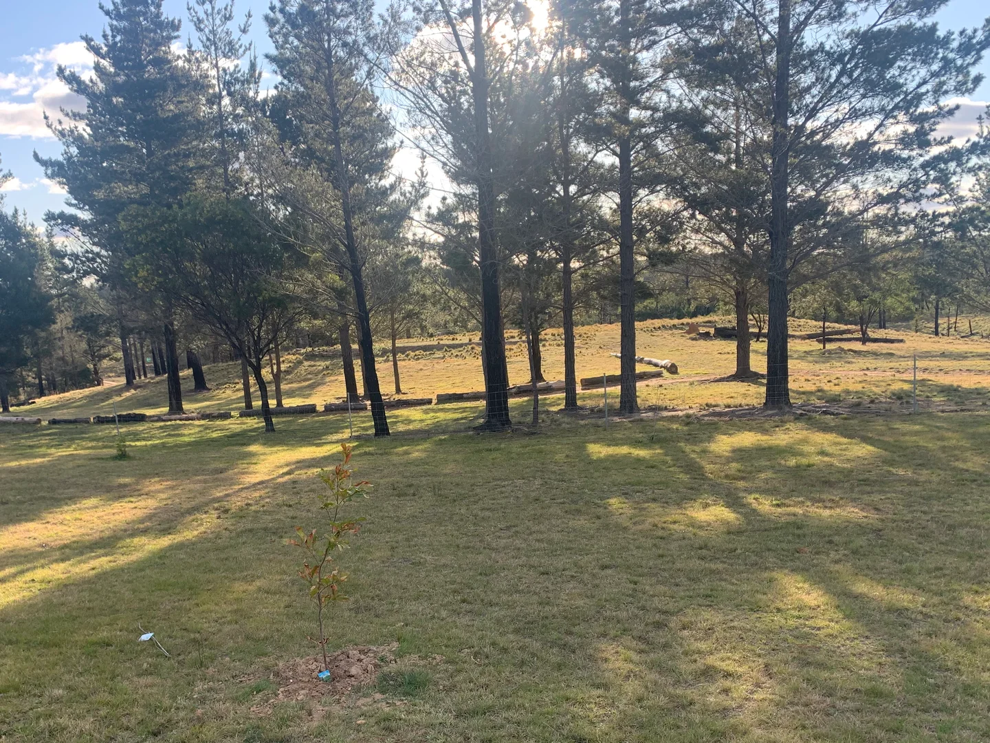 Additional image 34 of Tomboye NSW 2622