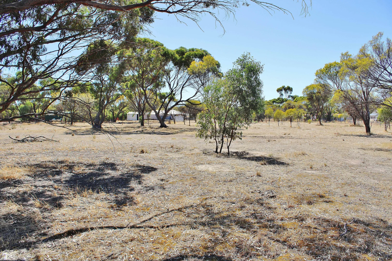 Additional image 29 of 60 Johnston Street, Wagin WA 6315