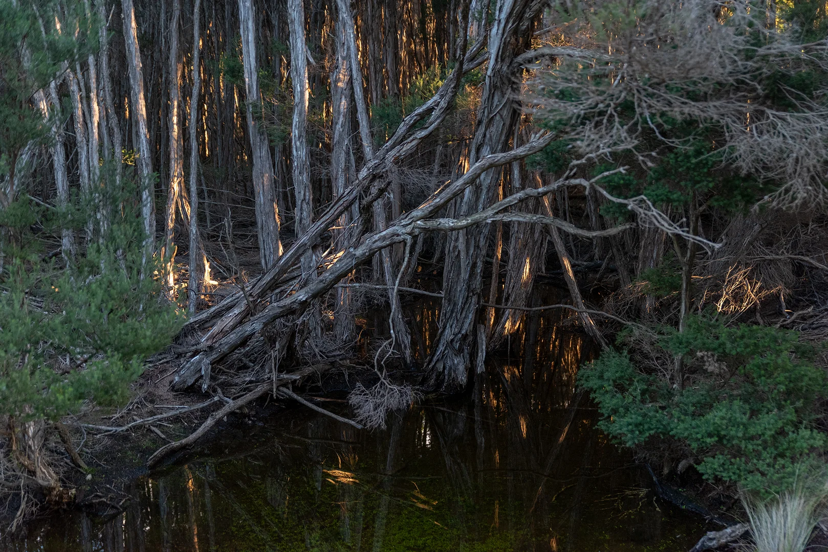 Additional image 13 of Lot 3 Boat Harbour Road, Killiecrankie TAS 7255