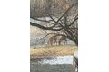 Additional image 36 of 741 County Route 44, Chase Mills, NY, 13621