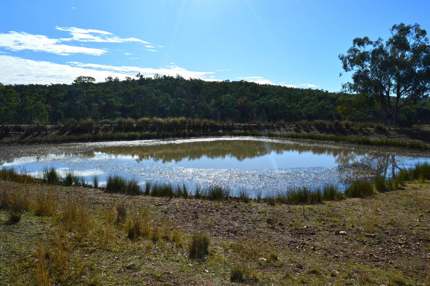 Additional image 11 of Hollybank Road, Inglewood QLD 4387